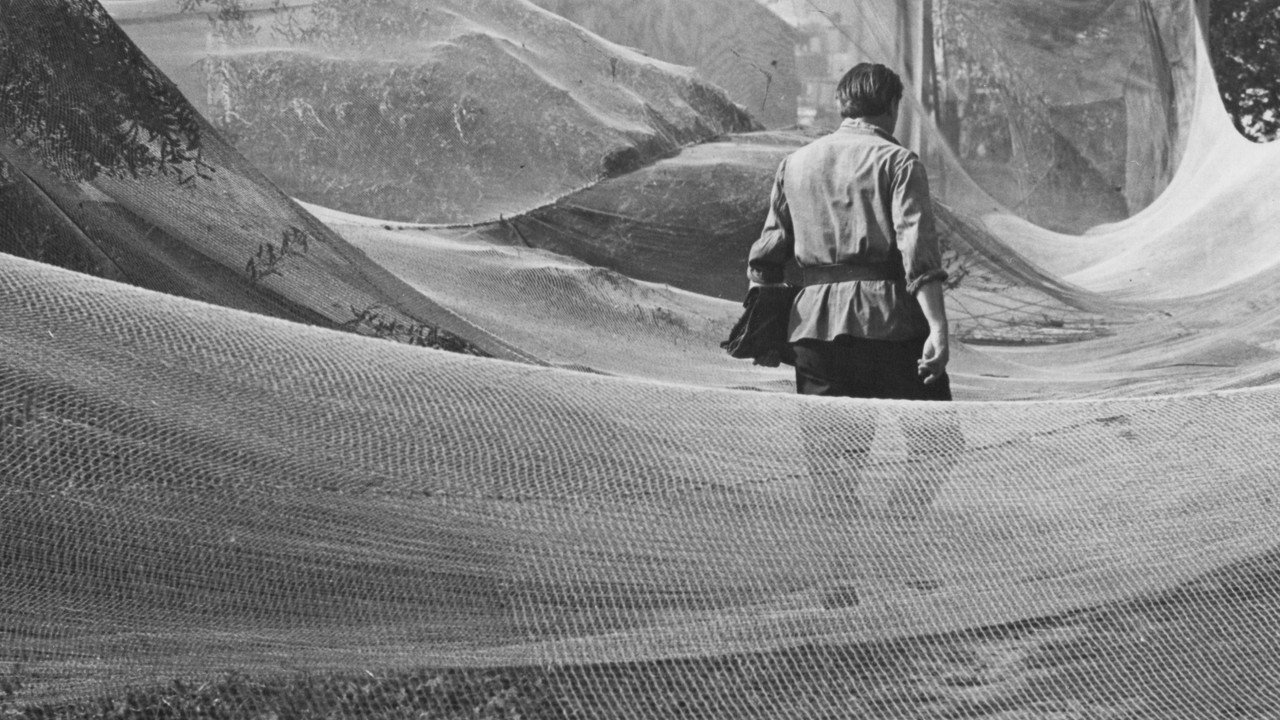 June, the Beginning of Summer backdrop