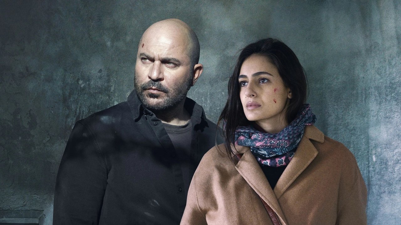 Fauda backdrop