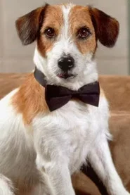 Photo of Moose as Eddie