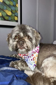Photo of Cooper as Himself