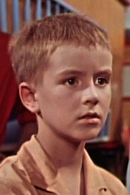 Photo of Ulrich Mende as Lutz