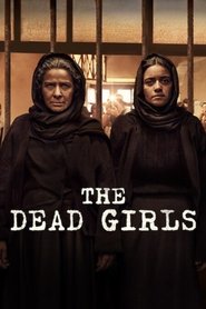 Limited Series poster