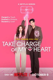 Limited Series poster