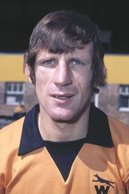 Photo of Dave Woodfield as Himself