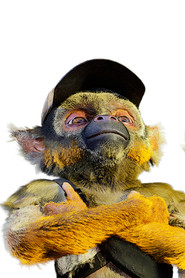 Photo of Ash as le saïmiri 1