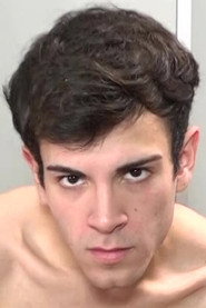 Photo of Swan
