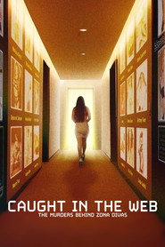 Limited Series poster
