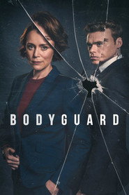 Miniseries poster