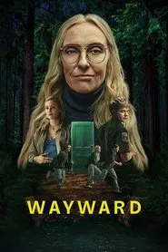 Limited Series poster