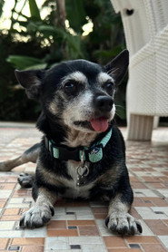 Photo of Cuki as Regaliz