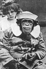 Photo of Mrs. Joe Martin as The Chimp
