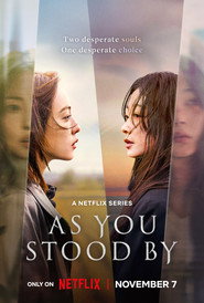 Limited Series poster