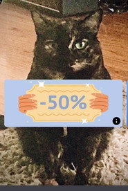 Photo of Goo as The Amityville Cute Farting Cat