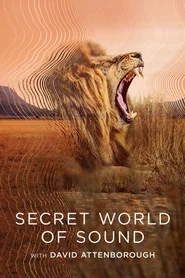 Miniseries poster