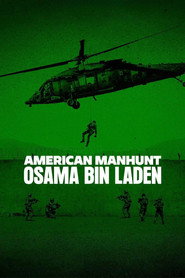 Miniseries poster