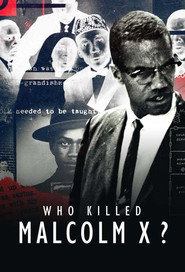 Miniseries poster