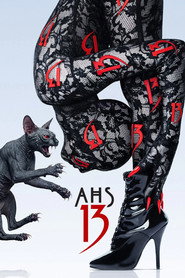 13 poster