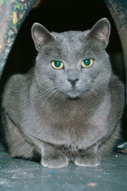 Photo of Slavko as Himself