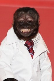 Photo of Crystal the Monkey as Gibby