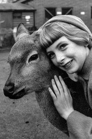 Photo of Jacqueline Ryan as Mary Norris