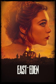 Limited Series poster