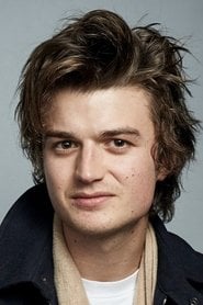 Photo of Joe Keery as Steve Harrington
