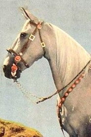 Photo of Tarzan as Tarzan