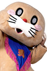 Photo of Pokotan as Pokotan