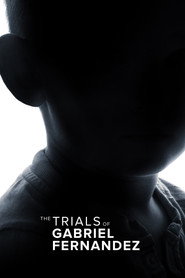 Limited Series poster