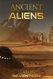 Season 17 poster