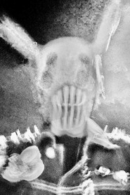 Photo of Madvin Mexis as the BirdMan for parts 1&3/3