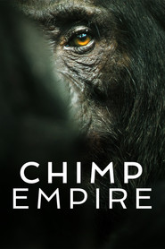 Limited Series poster