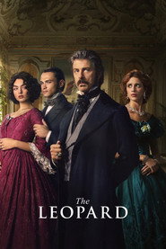 Limited Series poster