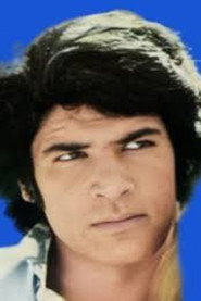 Photo of Homayoun Ashkan as Ali