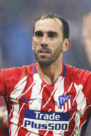 Photo of Diego Godín as Self