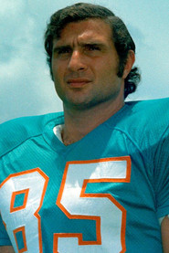 Photo of Nick Buoniconti as Himself