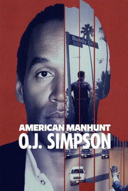 Miniseries poster