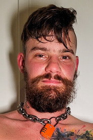 Photo of Free Wolf
