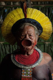 Photo of Raoni Metuktire as Self