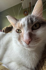 Photo of Neville as Herself