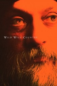 Limited Series poster
