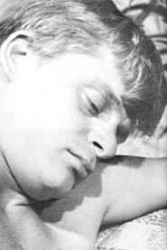 Photo of Chris Young as (segment "Box Boy") (archive footage)