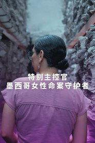 Limited Series poster