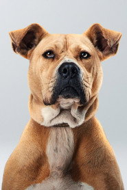 Photo of Bal as Self