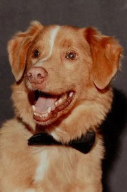 Photo of Indy as Indy