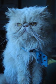 Photo of Jorge as Jorge