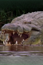 Photo of Gustave the Crocodile as Self