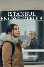 Limited Series poster