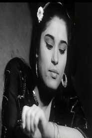 Photo of fatma ali