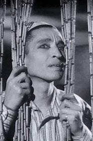 Photo of Mounir ElFangary as زوج مطلق